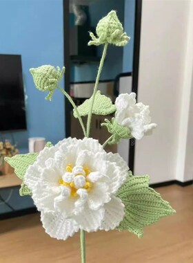 毛线手工编织芙蓉花束成品阿富汗B针织木芙蓉手钩花朵立体花束成