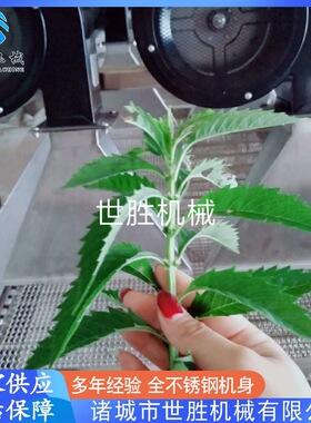 供应包装袋水分风干机  全自动毛豆清洗风干机 不锈钢翻转风干机