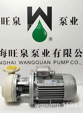 旺泉PF50-40-145强耐腐蚀离心泵