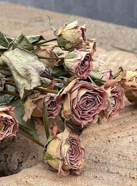 卡布奇诺红玫瑰i七夕送男女友送闺蜜真干花束复古装饰民宿摆设花