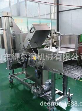 合肥小黄鱼上粉机 全自动裹粉机 黄花鱼上浆裹粉设备 上门安装