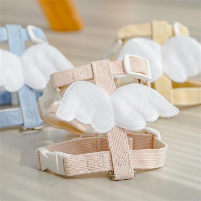 翅膀猫咪外出牵引绳工字型宠物防挣脱狗狗牵引绳小型犬可爱遛猫绳,淘宝优惠券,粉丝福利购,淘宝优惠卷