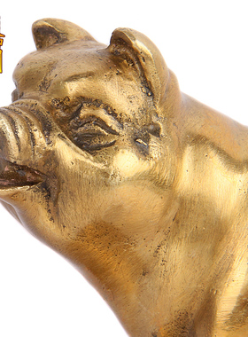 天御阁纯铜12十二生肖猪摆件工艺品客厅办公室家居装饰品礼品