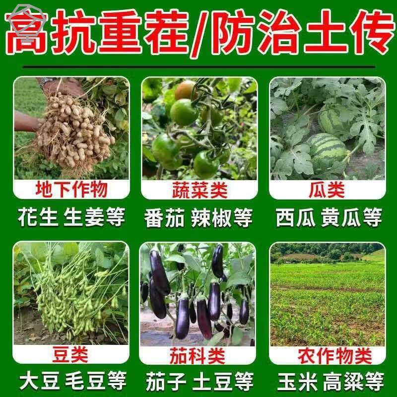 生石灰粉种菜专用生石灰杀虫土壤除湿菜地驱蛇粉养殖消毒干燥剂,淘宝优惠券,粉丝福利购,淘宝优惠卷