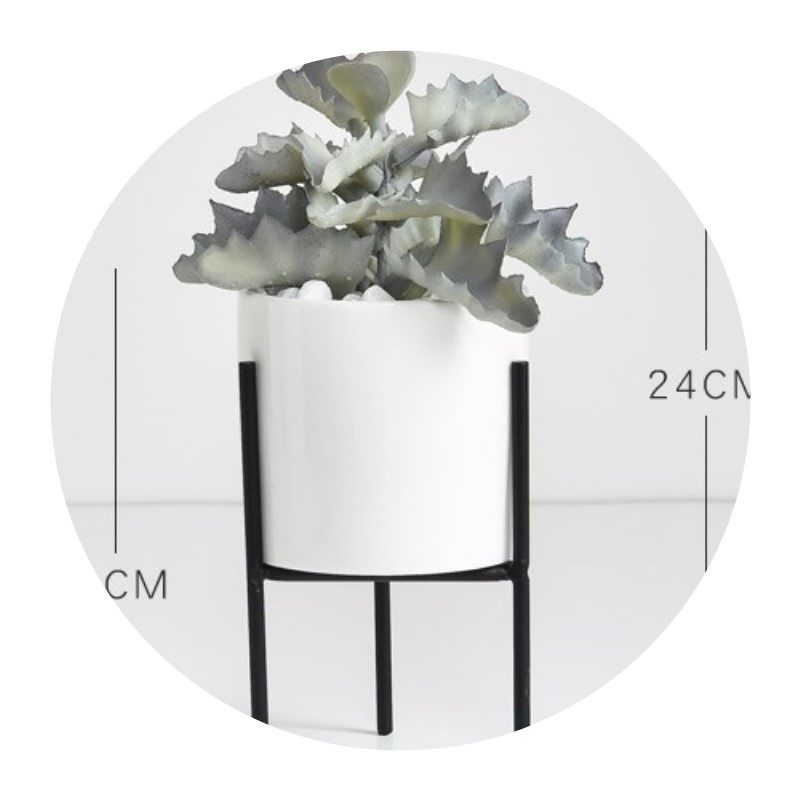 多肉背景墙办公室办公桌仿真仙人掌室外拍摄绿色礼盒装盆景绿,淘宝优惠券,粉丝福利购,淘宝优惠卷