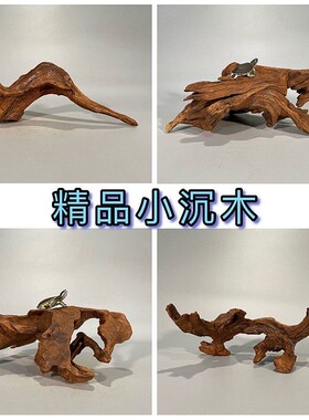 枯木鱼缸造景紫柚木精品小号沉木迷你水族饰树桩晒