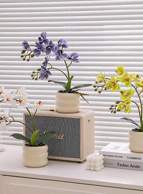 彷真花假花蝴蝶兰小型盆栽摆件客厅餐桌电视柜茶几玄关装饰品花艺