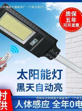 新太阳能路灯家用户外庭院灯新款感应乡村户外灯直销手动