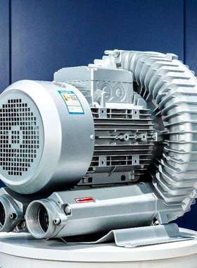 环型高压气泵灌装专用高压风机高压气泵生产公司