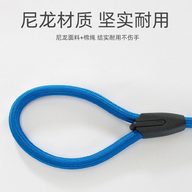 狗狗牵引绳栓溜p链套脖中型小型犬防爆冲泰迪防挣脱宠物用品,淘宝优惠券,粉丝福利购,淘宝优惠卷