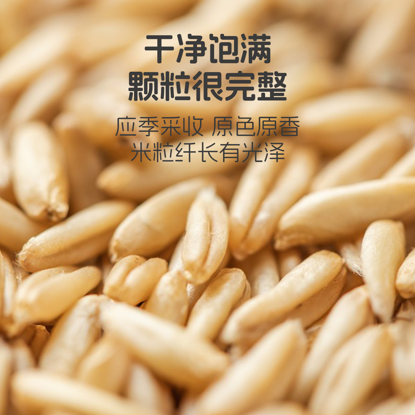 Beidao Yami organic oatmeal 410g*1 bottle