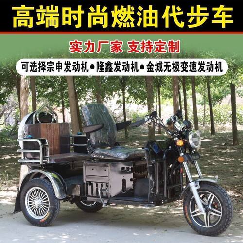 无级变速燃油三轮车家用小型接送孩子老年人带步代棚燃油汽油车 - 图0