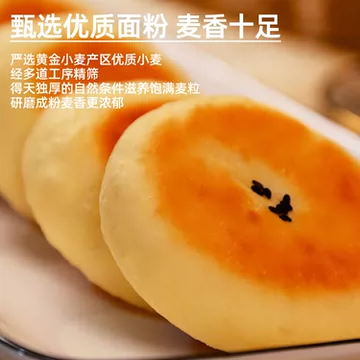 内蒙古特产酸奶饼营养早餐传统糕点休闲零食[50元优惠券]-寻折猪