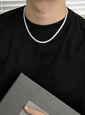 百搭基础钛钢蛇骨链男女不掉色扁刀片素链男款美式小众嘻哈锁骨链