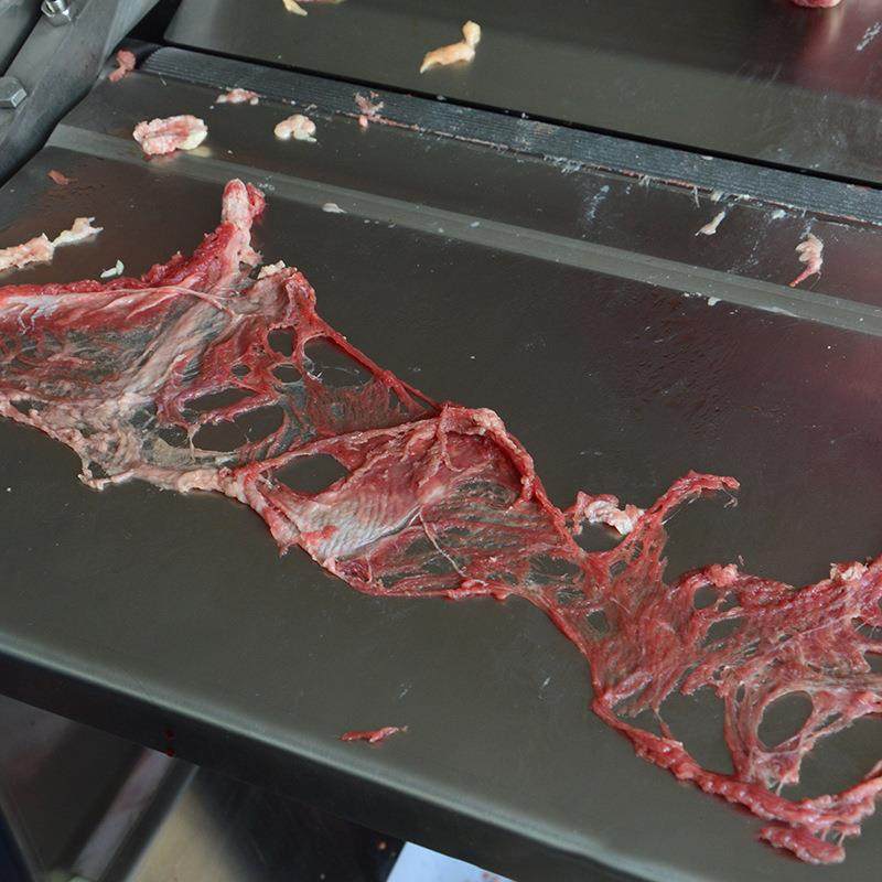 台式牛羊肉去筋膜机鲜肉自动刮白膜机厂家,淘宝优惠券,粉丝福利购,淘宝优惠卷