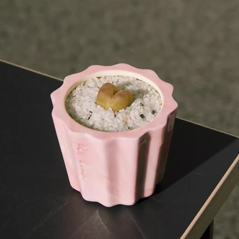 TeeUM韩国制手工多肉迷你花盆混色创意釉烧盆器桌面装饰礼 - 图1