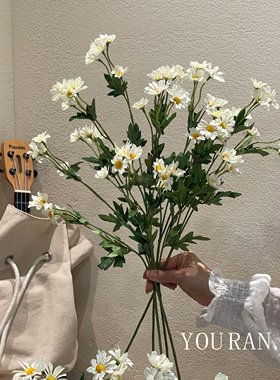 复古ins洋甘菊花束长枝逼真花材