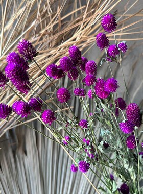 天然干花花束千日红凤尾草麦杆菊乒乓菊小清新家居装饰diy材料雏
