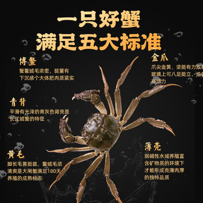 【全母蟹活蟹】鲜活大闸蟹现货螃蟹河蟹全母蟹水产礼盒官方旗舰店