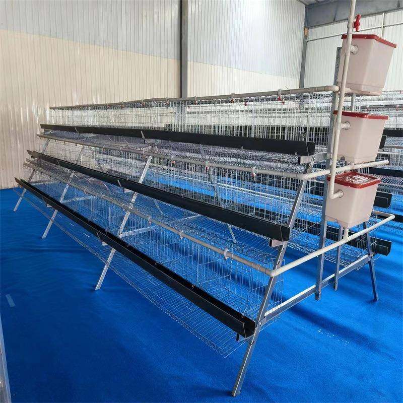 A型养殖鸡笼三层四门阶梯式热镀锌蛋鸡笼养殖场养鸡设备厂家,淘宝优惠券,粉丝福利购,淘宝优惠卷