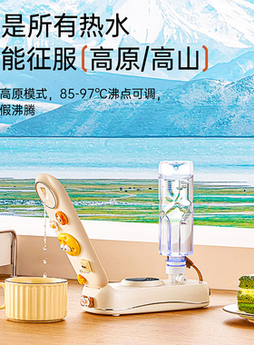 【政府补贴15%】美国卓朗便携即热式饮水机旅行折叠迷你烧水壶241