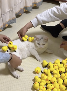 创意小黄鸭立体可爱发夹
