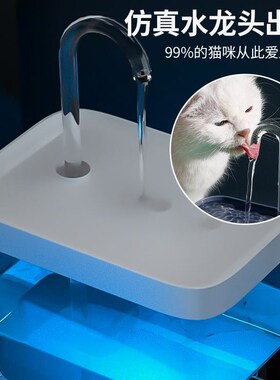 猫咪饮水机自动循环流动静音饮水器不湿嘴喝水器狗狗水盆宠物用品