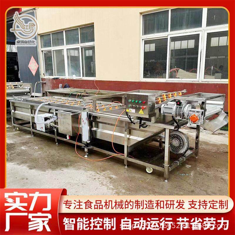 厂家直销连续式小黄姜清洗风干线大型杏鲍菇清洗机商用黄精清洗机,淘宝优惠券,粉丝福利购,淘宝优惠卷