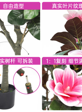 仿真粉色玉兰花盆栽客厅玄关装饰假花摆件高级感家居花艺