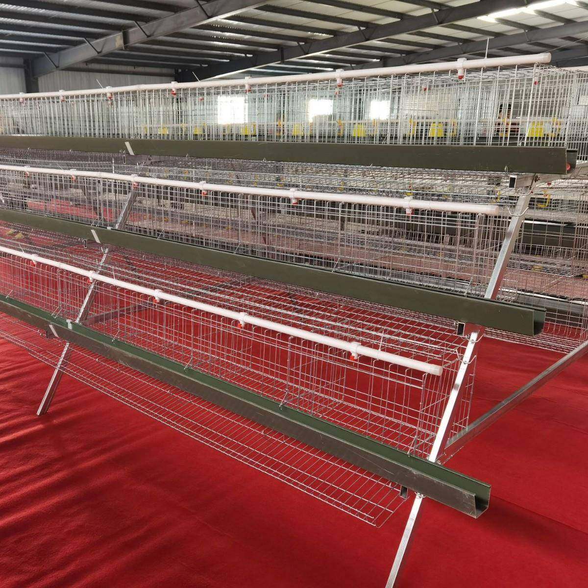 阶梯蛋鸡笼A型镀锌丝鸡笼立式养鸡设备鸡舍多层鸡窝加粗鸡笼底网,淘宝优惠券,粉丝福利购,淘宝优惠卷