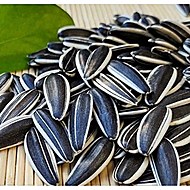 内蒙古原味生瓜子现炒熟葵花籽1000g