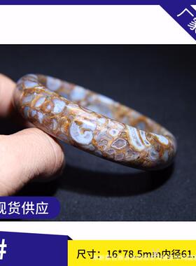 工厂原始海螺化石法螺手镯九眼石页岩老真西藏法螺手镯