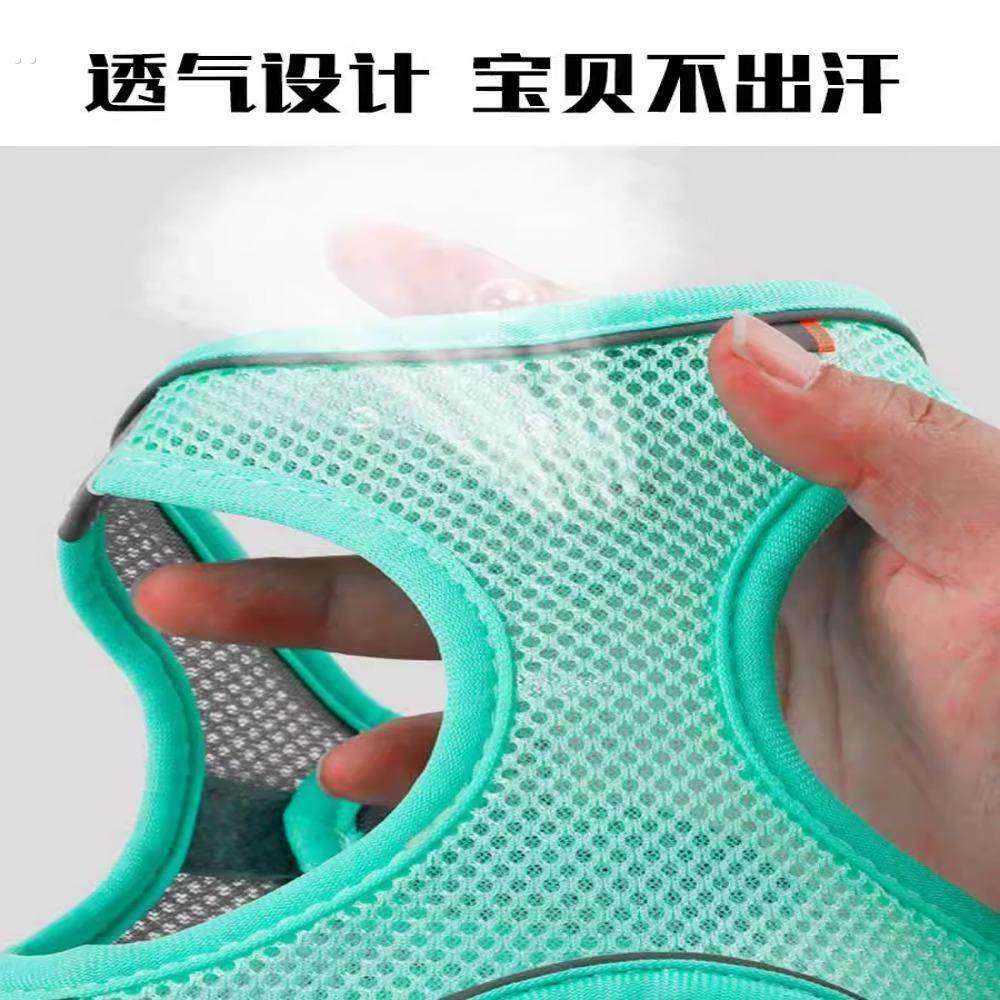 小鹿犬专用1斤牵引绳吉娃娃透气结实背心式狗绳小型犬狗狗用品幼,淘宝优惠券,粉丝福利购,淘宝优惠卷