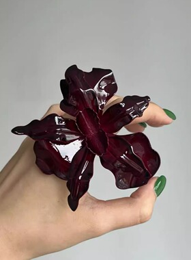 轻奢小众精致高级感手镯戒指套装