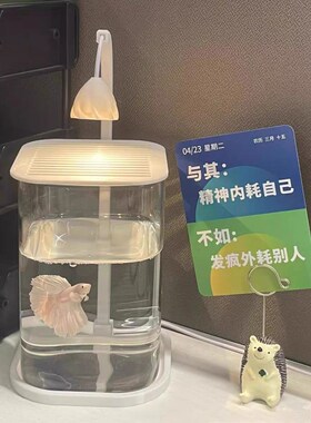 斗鱼缸超白小型玻璃缸办公桌面级感桌面生态缸夜灯鱼缸