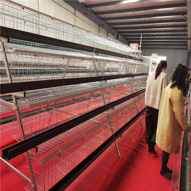 阶梯式蛋鸡笼出口全自动全套养殖多层鸡笼镀锌蛋鸡笼设备供应,淘宝优惠券,粉丝福利购,淘宝优惠卷