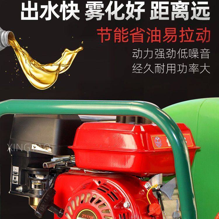汽油打药机推车160L农用自动喷雾器手推式打药机农用农药园林消毒,淘宝优惠券,粉丝福利购,淘宝优惠卷