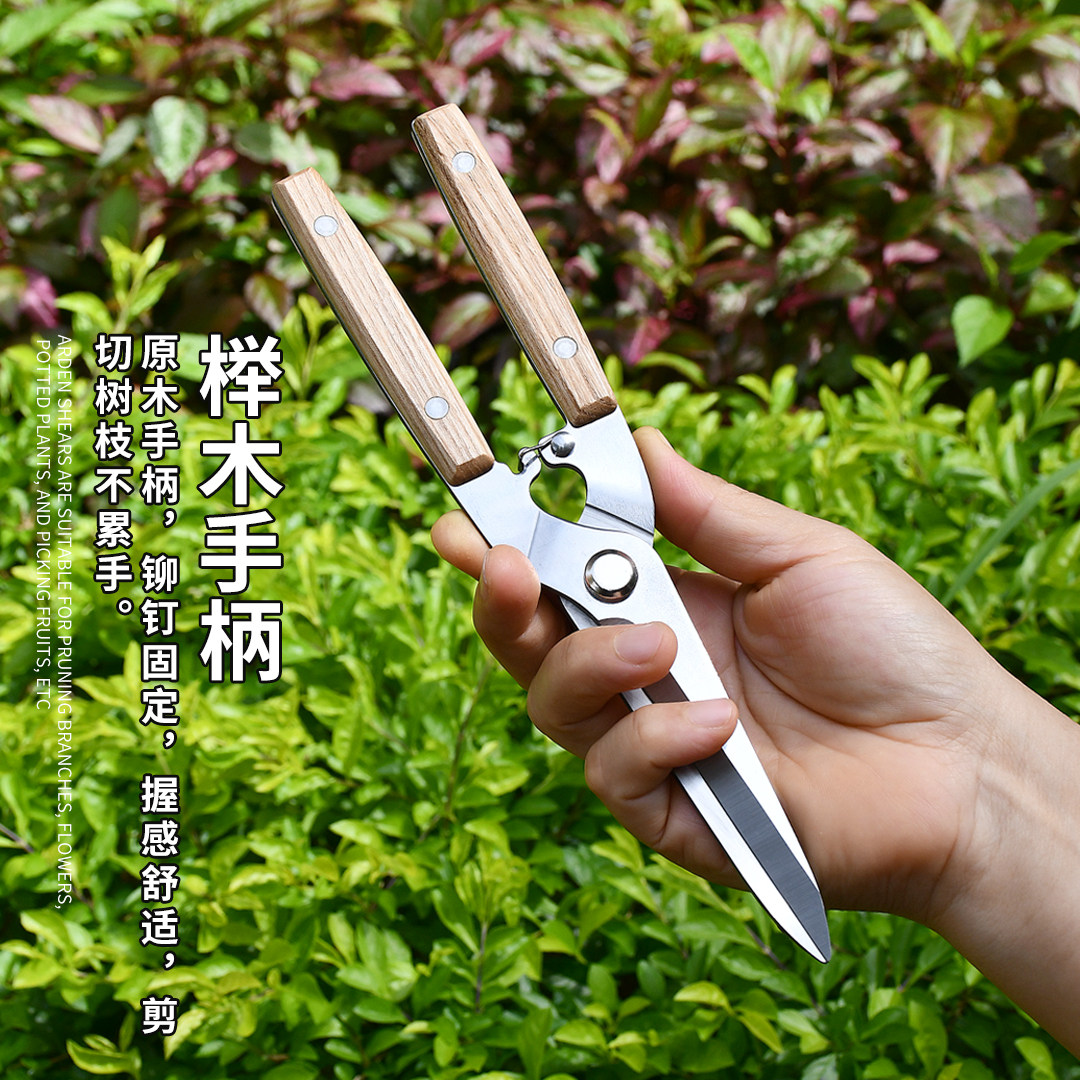 不锈钢园艺剪刀花艺师插花剪刀园艺剪刀修枝剪家用工具神器,淘宝优惠券,粉丝福利购,淘宝优惠卷