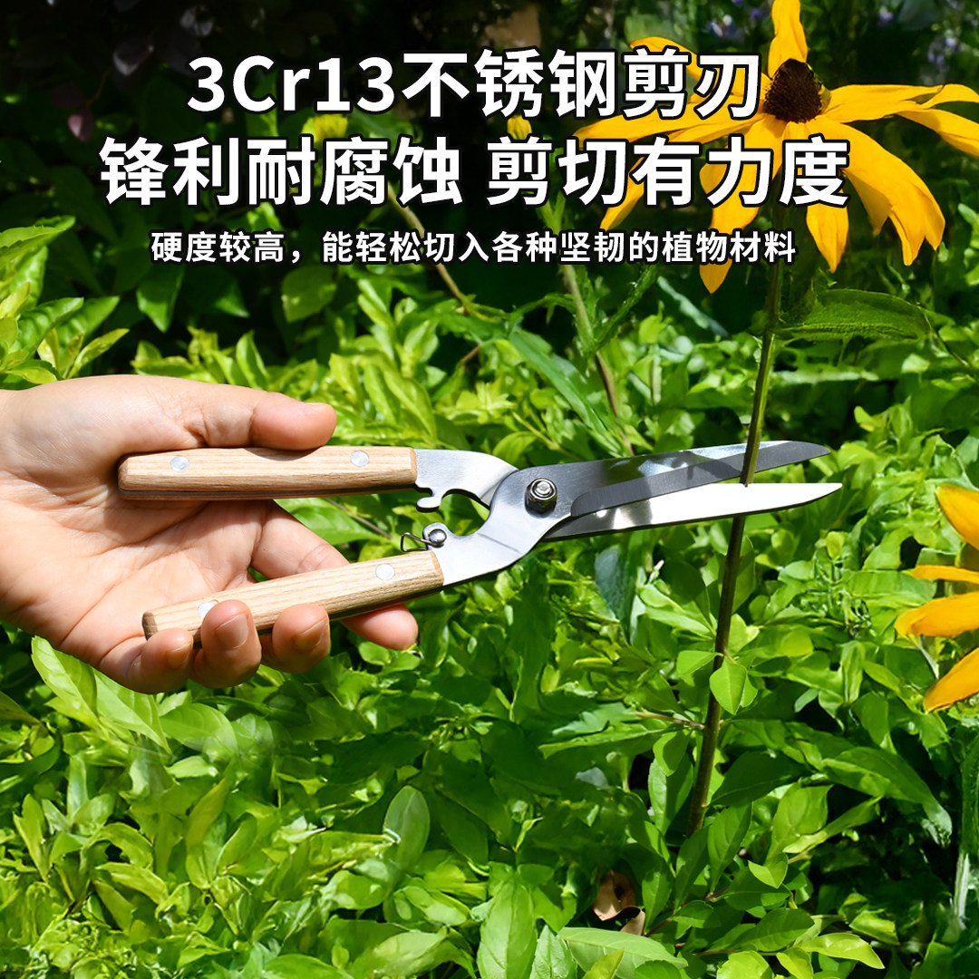 不锈钢园艺剪刀花艺师插花剪刀园艺剪刀修枝剪家用工具神器,淘宝优惠券,粉丝福利购,淘宝优惠卷