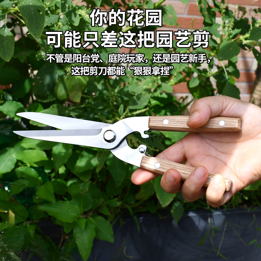 不锈钢园艺剪刀花艺师插花剪刀园艺剪刀修枝剪家用工具神器,淘宝优惠券,粉丝福利购,淘宝优惠卷