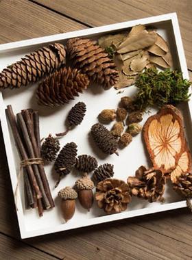 天然野外森林果子摆盘竹编篮子干果装饰套装文艺店铺摆件装饰DIY