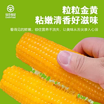 辰旭稼禾！东北黄糯玉米250g*8支[10元优惠券]-寻折猪