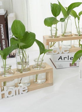 创意水培花瓶绿萝透明玻璃插花容器HOME家居餐客厅电视柜装饰摆件