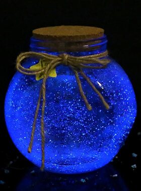 瓶子5超大e瓶大漂流玻璃木塞大号海洋夜星空情人许愿夜光特大瓶情