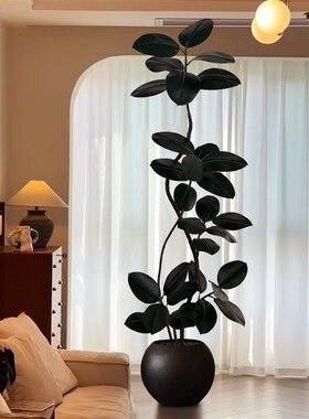 黑金刚橡皮树仿真绿植室内客厅z装饰落地盆栽大型仿生植物摆件假