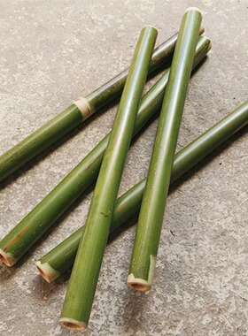 小竹子做早操竹棍竹竿竹杆竹节
