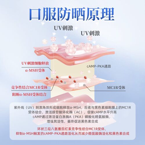 三浦制药DonCoo雪白丸净斑白番茄片内服谷胱甘肽去黄全身美白丸H - 图2