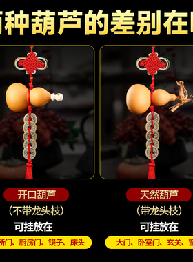 五帝钱葫芦门对门天然葫芦挂件开口朱砂铜钱卫生间客厅阳台工艺品
