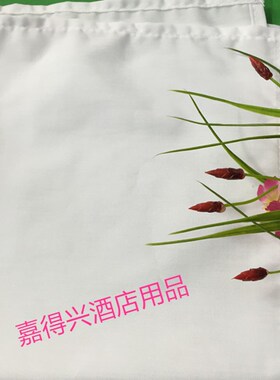 棉纱港式布拉肠粉布蒸肠粉布白布粉肠布专用O布拉肠粉机纱布蒸笼