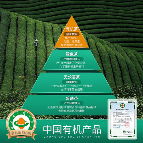 2025新茶狮峰牌有机龙井茶明前特级茶叶独立小包罐装绿茶叶自己喝 - 图1